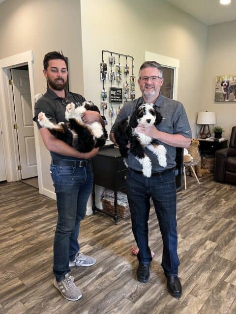 A father and son each holding their Bernedoodle puppy when they picked them up at our farm