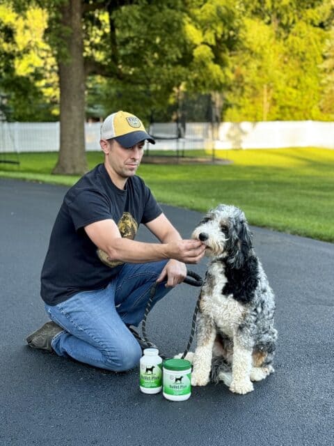 Feeding a bernedoodle puppy supplements