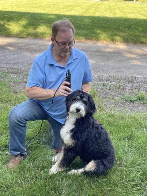 Man cutting hair of his Bernedoodle in his back yard with a wired clippers