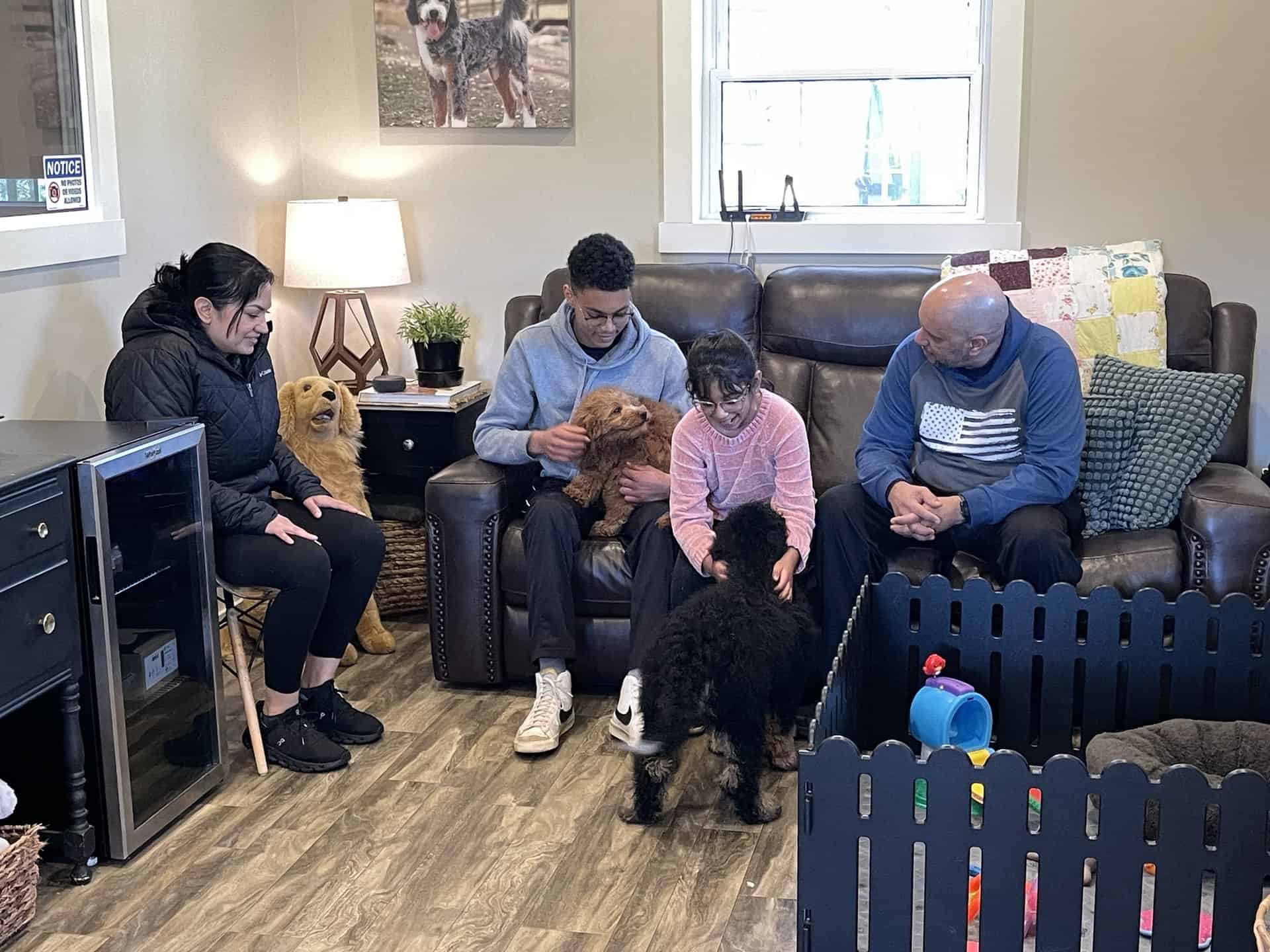 Mom, dad, son, and daughter meet their puppies at Fawn River Doodles