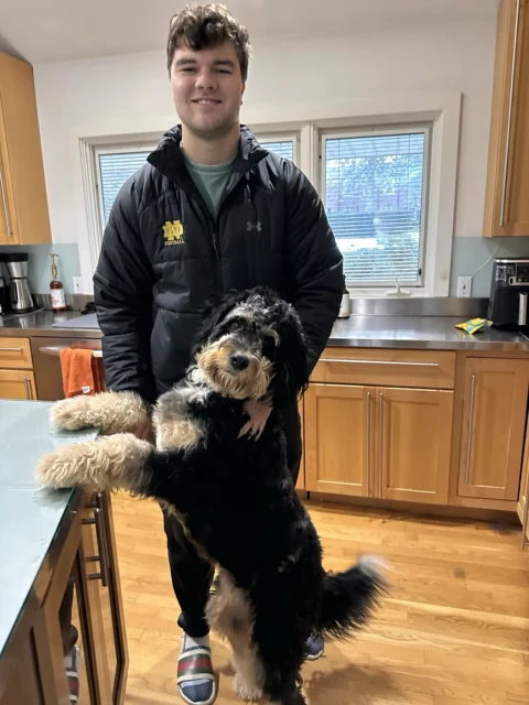 Owner with Bernedoodle