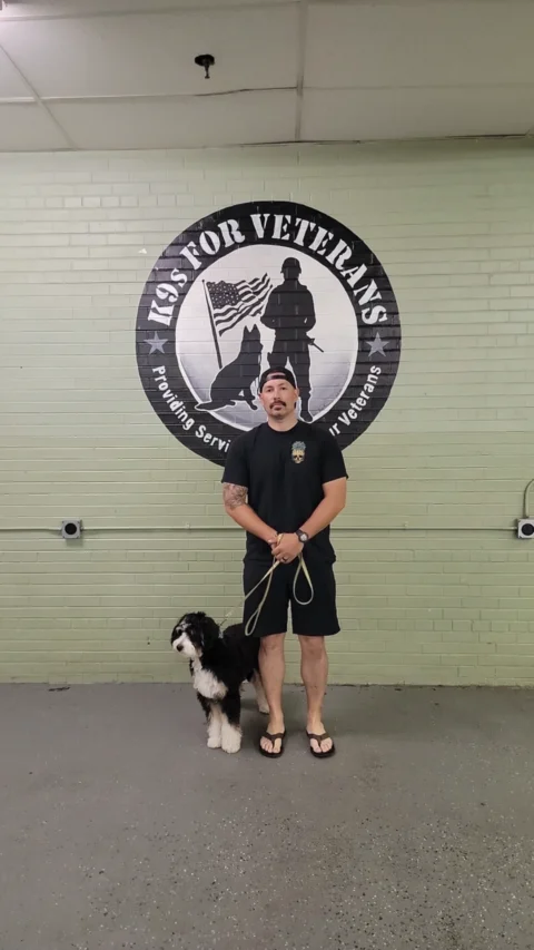 Owner standing beside his Bernedoodle