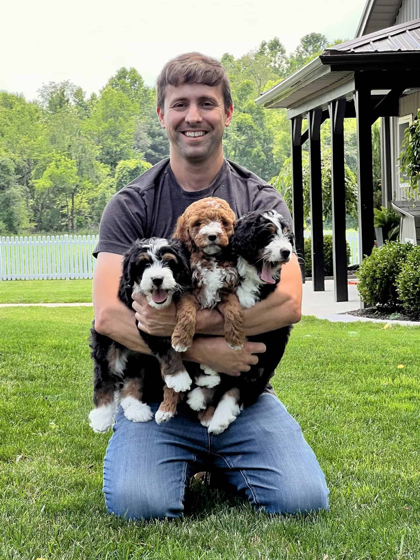 Robin holding 3 Bernedoodle & Goldendoodle puppies