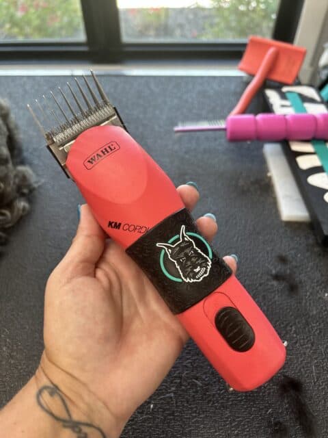 Wahl pet hair clippers held in professional groomer's hand